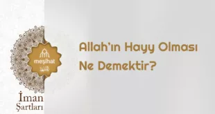 Allah'ın hayy sıfatı nedir? Allah'ın subuti sıfatları nelerdir? Hayat sıfatı nedir? Allah'ın sıfatları nelerdir?